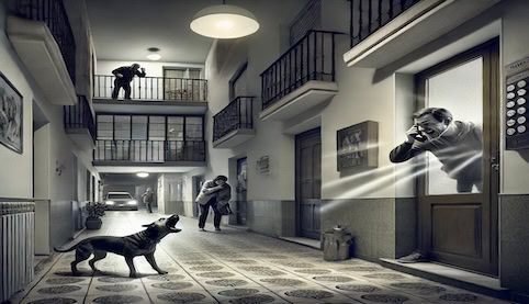 Responsabilidad por daños causados por ladridos de perro. Abogados en Sevilla especialistas en Derecho Civil y Propiedad Horizontal. Madrid Salinas Abogados