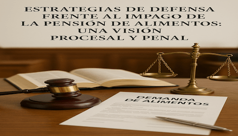 Estrategias de defensa frente al impago de la pensión de alimentos: una visión procesal y penal. Abogados Sevilla Derecho Familia. Madrid Salinas Abogados
